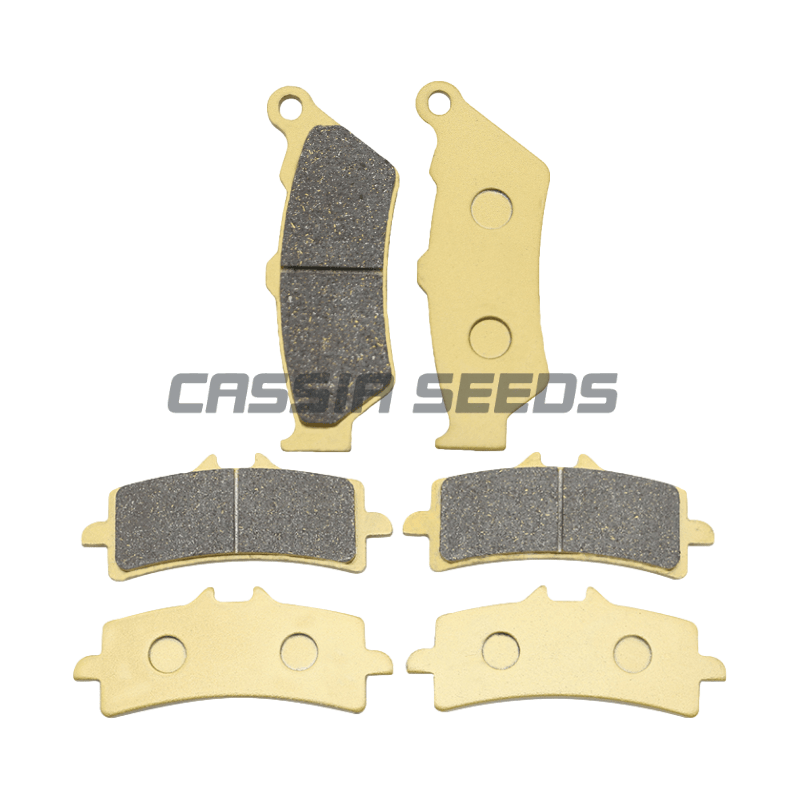 MOTORCYCLE FRONT AND REAR BRAK - Carbon Ceramic Motorcycle Brake Rotor review and price